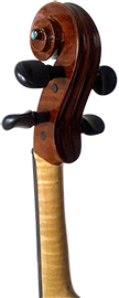 Vrat violine